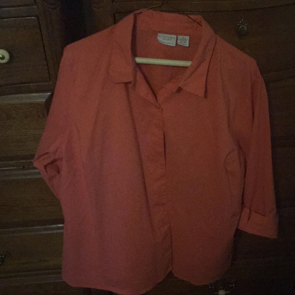 Woman's 2x top